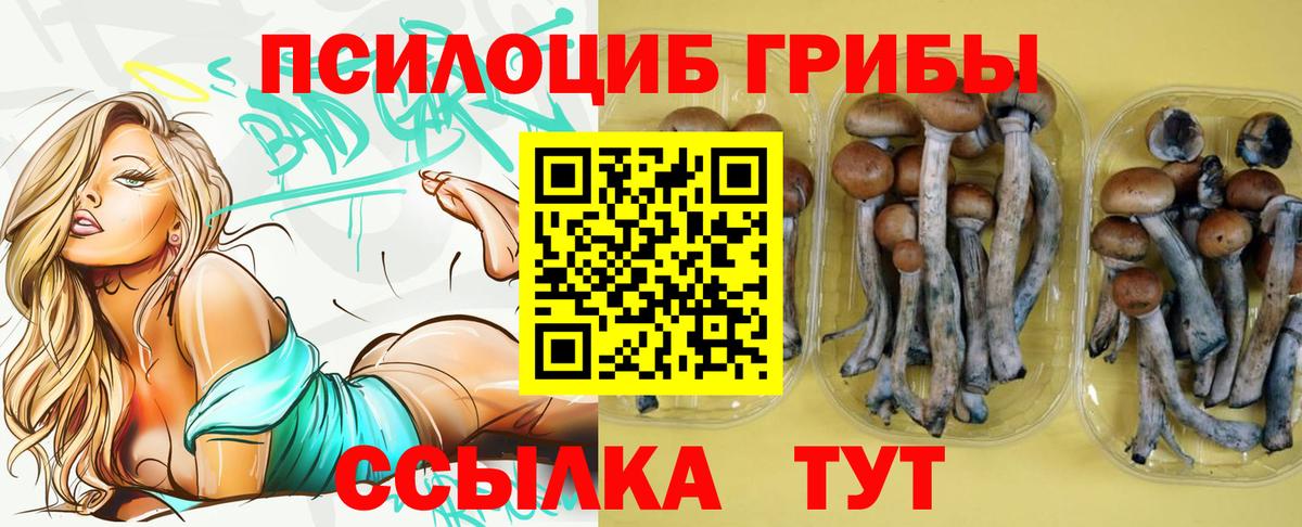 Галлюциногенные грибы мицелий  Вход с VPN  Артём  Галлюциногенные грибы GOLDEN TEACHER 